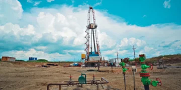 Tanzania’s Energy Minister Pushes for Accelerated Oil and Gas Exploration